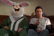 My Rabbit.jpg