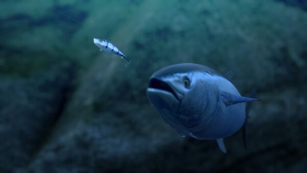 Saltwater Fishing