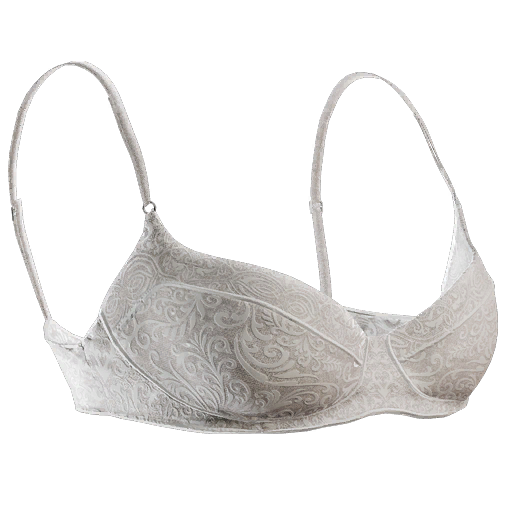 File:Bra.png - Wikipedia