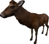 Deer 02