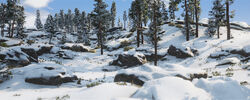 Mountain Glade Img 01