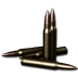 5.56x45mm Ammo
