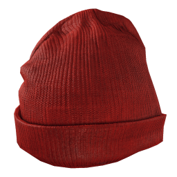 Raykit Beanie - Official Scum Wiki