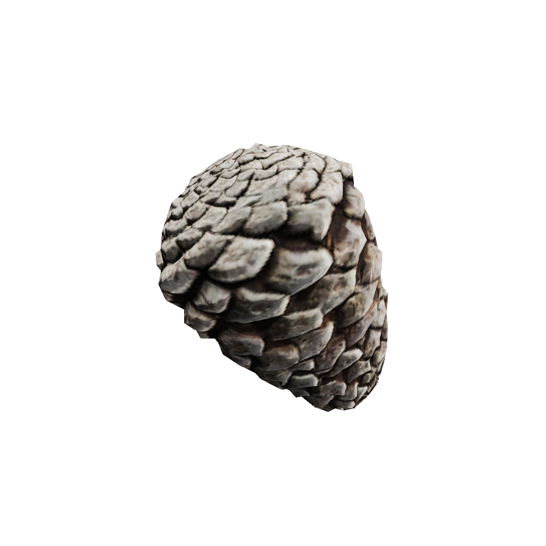 pine cone png