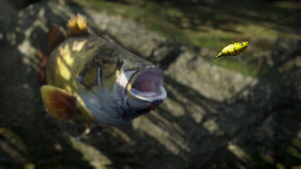 Freshwater Fishing