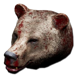 Bear Head