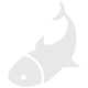 Pesca