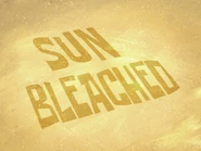 Sun Bleached (7.12 MB) Sun Bleached