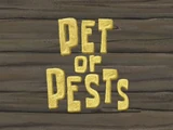 Pet or Pests