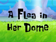 A Flea in Her Dome
