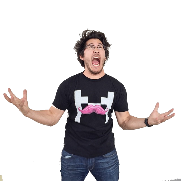 Start Survey?, Markiplier Wiki