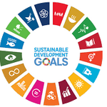Sustainable Development Goal 5: Gender Equality - EcoliseWiki