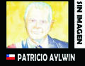 Patricio Aylwin - Sin imagen