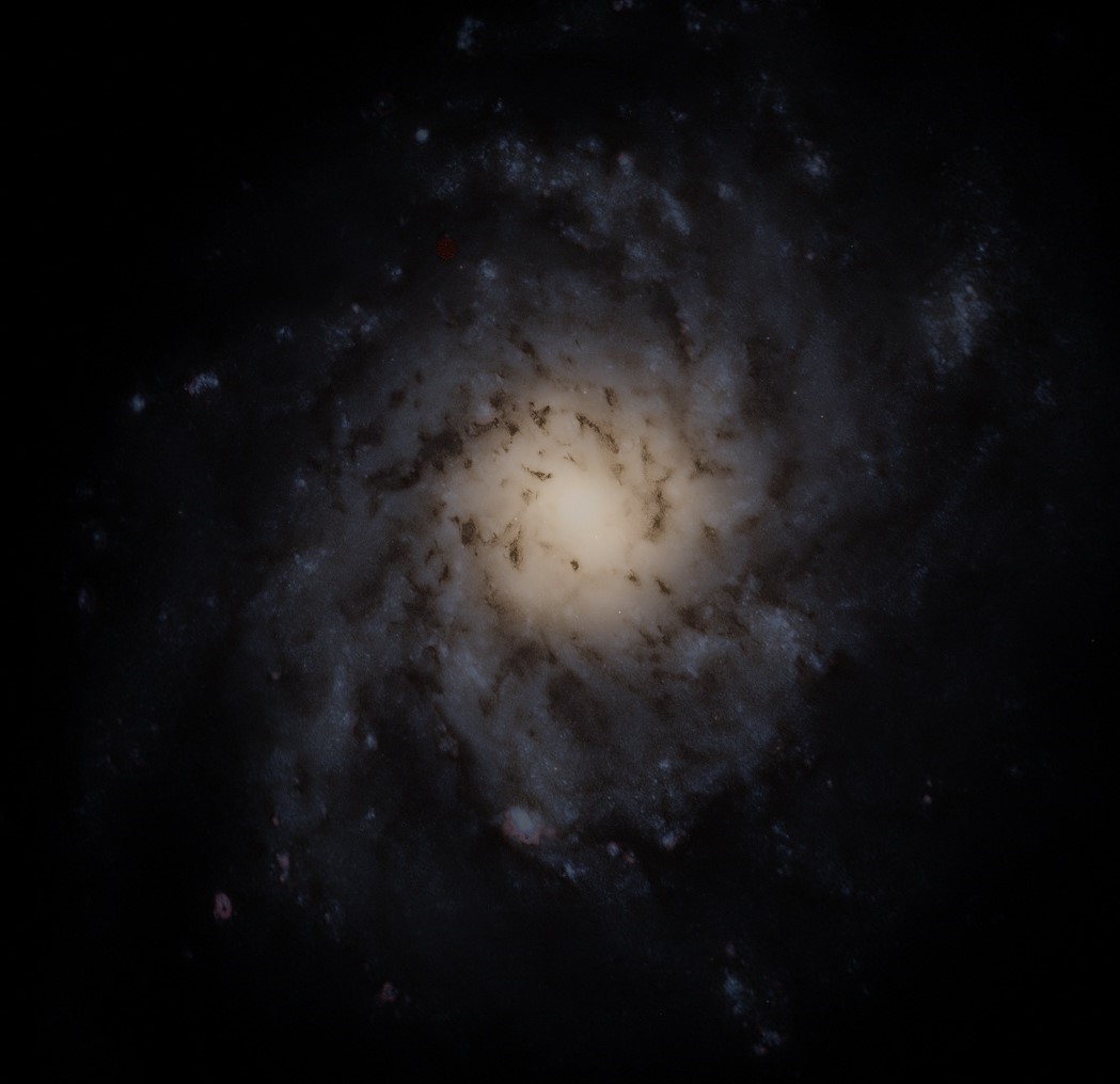 triangulum galaxy