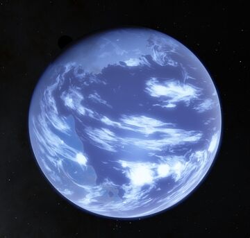 hippie coco’s planet xfBNNm2QL635JHujd9cWn8.png