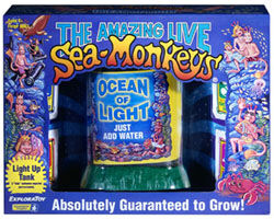 Ocean of Light.jpg