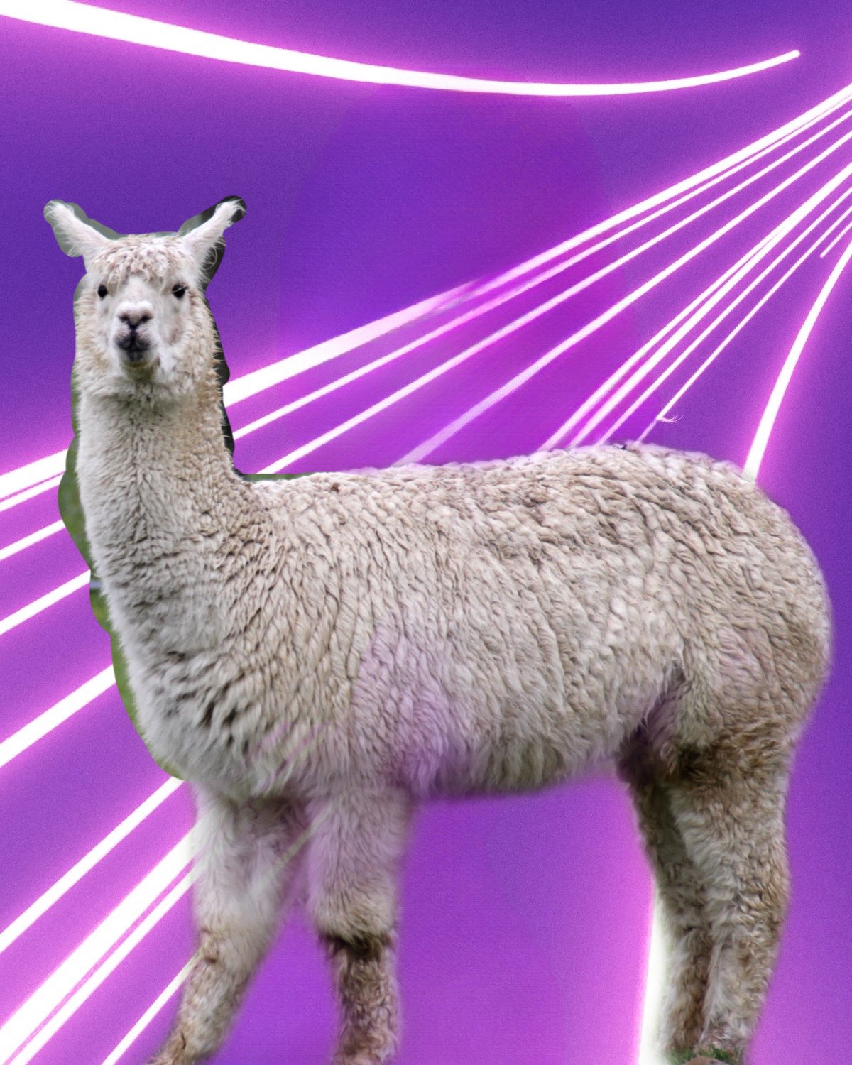 alpaca-sean-s-simulators-wiki-fandom