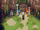 Solstice Shrines
