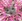 Emote 2muchlove