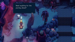 The merchant at the Lost Ones Hamlet.