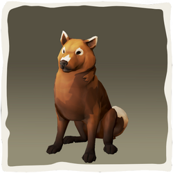 Shiba inu chocolate Sea of Thieves Wiki