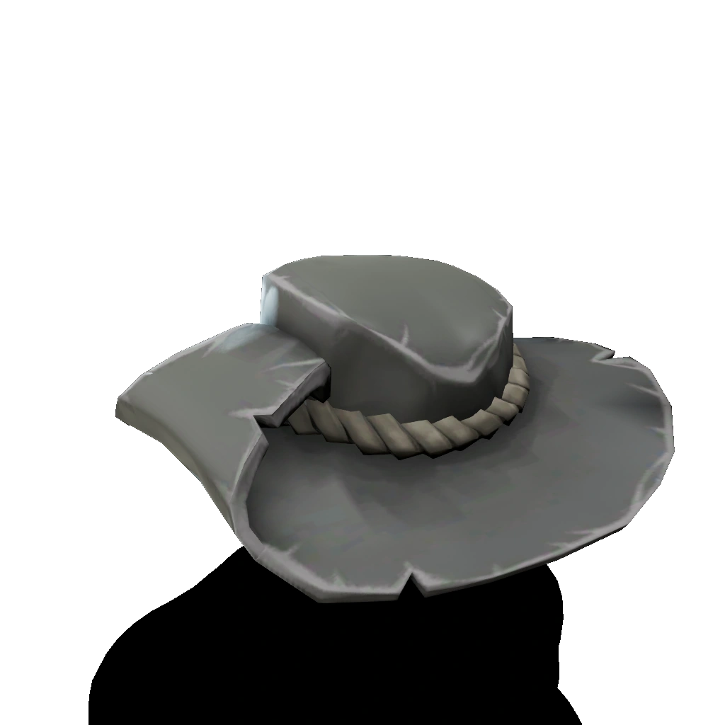 Sombrero de ala ancha Sea of Thieves Wiki