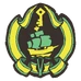 Diseño del Acaparador emblem