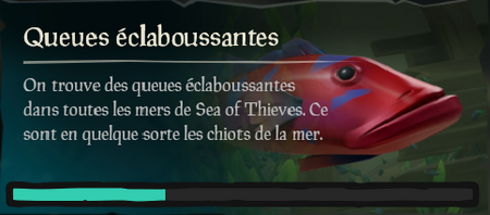 Queue-eclaboussante