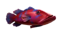 Poisson — Sea of Thieves Wiki