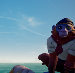 Sunset Capuchin Adm.png