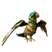 Gold Curse Macaw