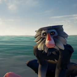 Silver Mane Barbary1.png