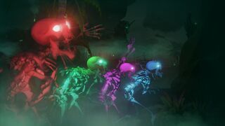 Ach A Spectrum of Shadows