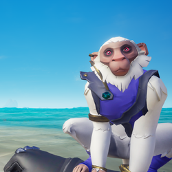 Cloudy Capuchin PL.png
