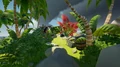 Camp on Uncharted Island K-9