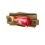 Admired Coral Wildsplash Plaque