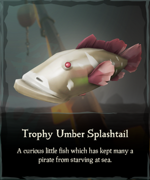 Trophy Umber Splashtail.png