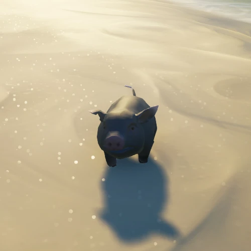 Black Coated Pig Sea of Thieves Wiki
