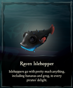 Fish  The Sea of Thieves Wiki