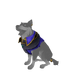 Alsatian Pirate Legend Outfit.png