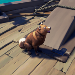 Chocolate Inu 1.png