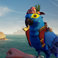 A Azure Macaw with the outfit.