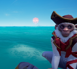 Cloudy Capuchin WR.png