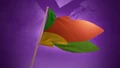 Promotional image of the Jack O' Looter Flag.