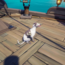Ashpaw Whippet Bone.png