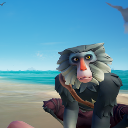Silver Mane Barbary SD.png