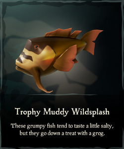 https://static.wikia.nocookie.net/seaofthieves_gamepedia/images/4/42/Trophy_Muddy_Wildsplash.png/revision/latest/scale-to-width-down/250?cb=20191005064527