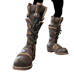 Sea Dog Boots