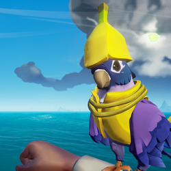 Blue Moon Parakeet Ban.png