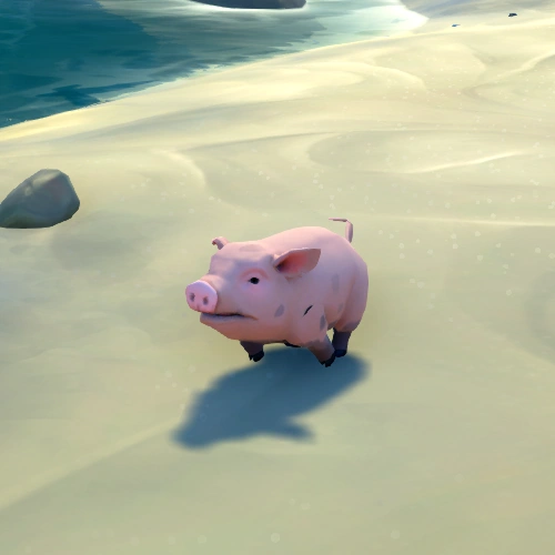 Pink Bristled Pig The Sea of Thieves Wiki